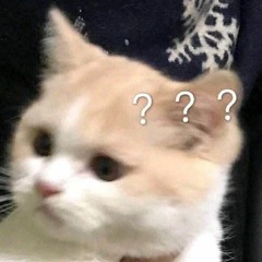 Kōhī