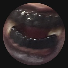 Lilmolly pluto™️BANDZ-(ENTERTAINMENT)