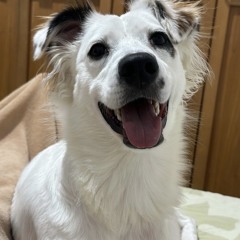 Samuel Giraldo Jimenez