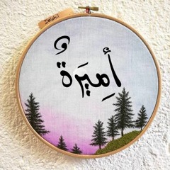 Amira Hamdy Hegazy