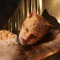 Best Cat