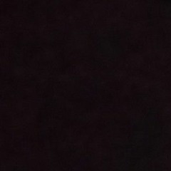 user69420