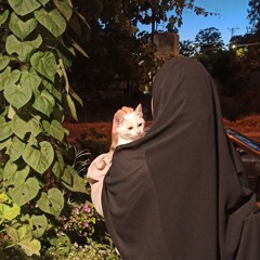 قضبان السجن