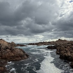 Tarvinder Singh Brar