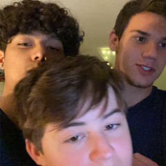 Joelsitzler