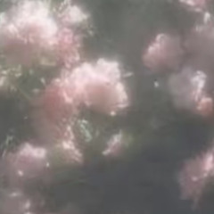 ♡