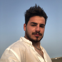 saeedmahmodi