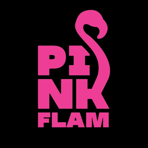 Stream The Equalizer (Pink Flam Remake) by Pinkflamdump Listen online
