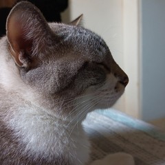 Matheus