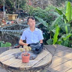 Âm Nhạc là liều thuốc đá