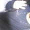 Galo Ghst