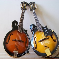 Tennessee Honey Band