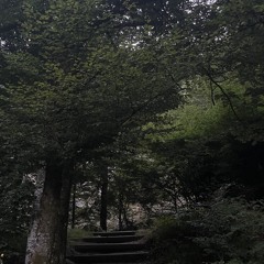 mwiaari