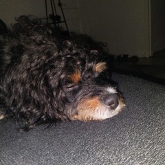 Rayne