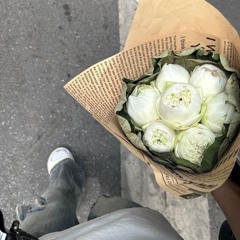 Zphuoc