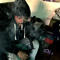 oodavee0231