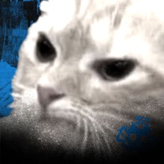 Reiinz