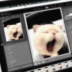 ᴛʜɪᴘᴍᴏɴᴛʜᴀ