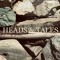 Heads & Tales