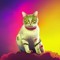 gatito