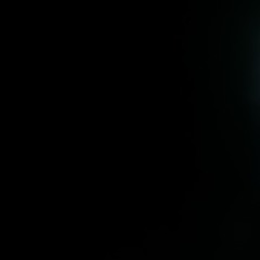 flovergerdebroskenher