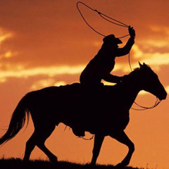 National Finals Rodeo 2023 Live Stream