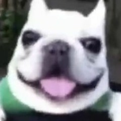 Muttu