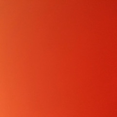 User 446204049