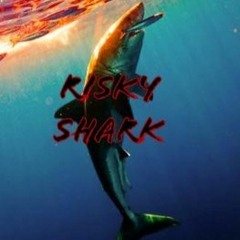 RiskySharkGaming