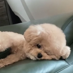 ^^*