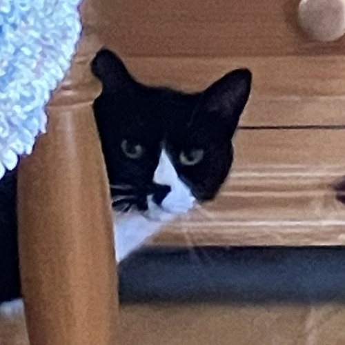 9 key freestyle on qwerty keyboard with garageband (jazz)