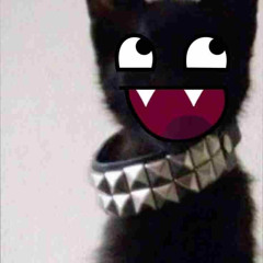 Nikoyaro