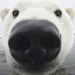 Burr76