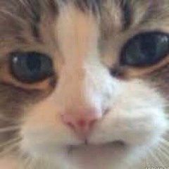 xebawnekqox