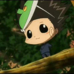 sammy:3