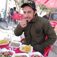 عابر سبيل