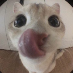 axoszz