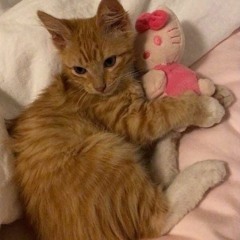 miwliss