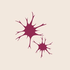 SYNAPSA