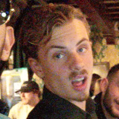 VlindersVince
