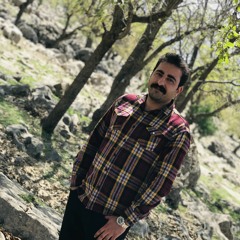 davood hatami