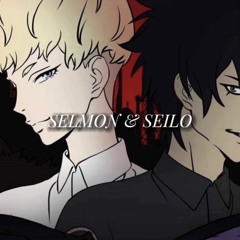 Selmon & Seilo
