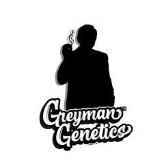 greyman