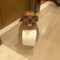 연시기