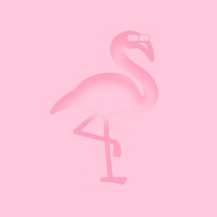 Flamingo Road