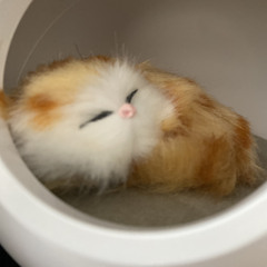 THESeanS!MONE (@rchive)