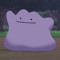 ploob