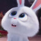 ExplosiveCarrot