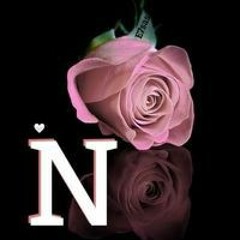 نهي جودة
