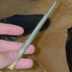 tu primo